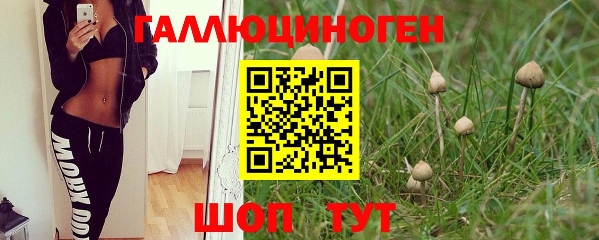 Галлюциногенные грибы MAGIC MUSHROOMS  Вход с VPN  Чистополь  Галлюциногенные грибы Cubensis 